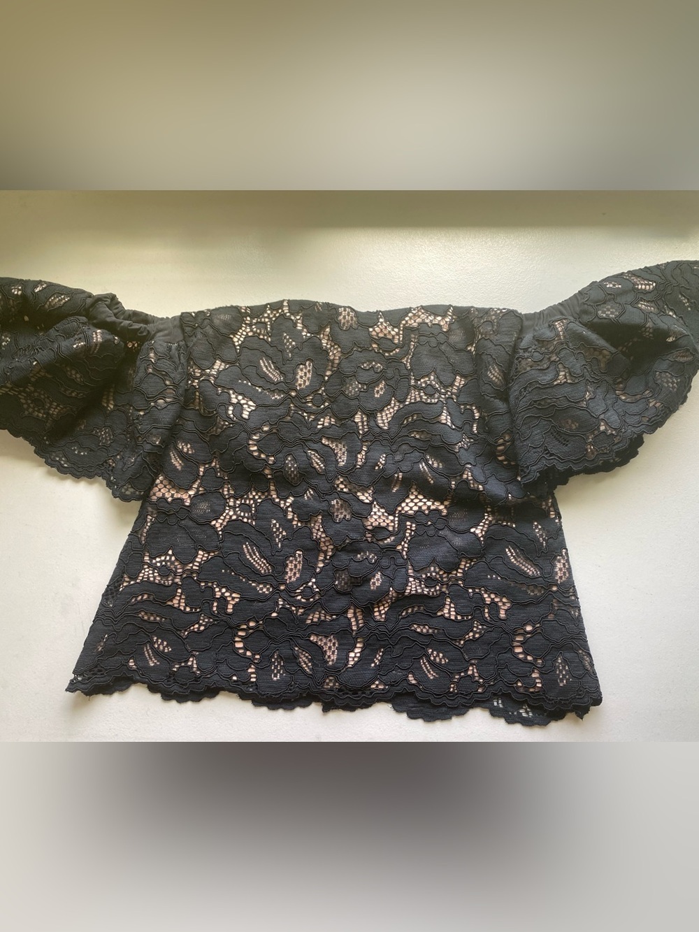 Lace Embroidered Off shoulder puff sleeve Boned  over bust Top Size S-M